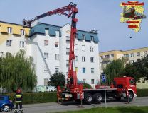 golab_08_07_20161.jpg
