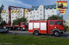 golab_08_07_20162.jpg