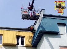 golab_08_07_20163.jpg