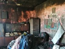 IMG_20200422_102234.jpg