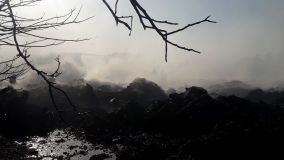 20200706_184606.jpg