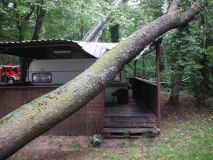 DSCF6731.jpg