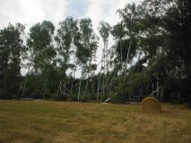 DSCF6746.jpg