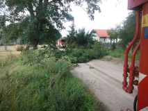 DSCF6752.jpg