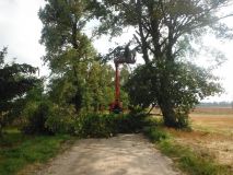 DSCF6753.jpg