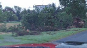 IMG_20170812_060325.jpg