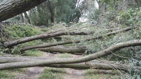 IMG_20170814_132852.jpg