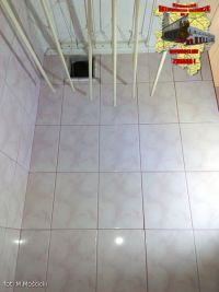 IMG_20170311_171225.jpg